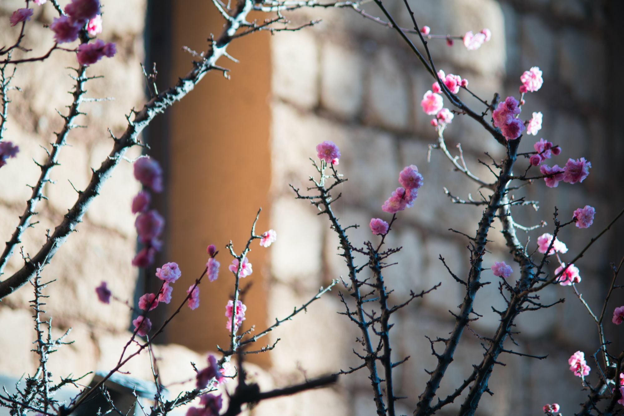 Lijiang Trustay Heartisan Boutique Hotel & Resort Exterior foto